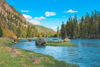 Montana