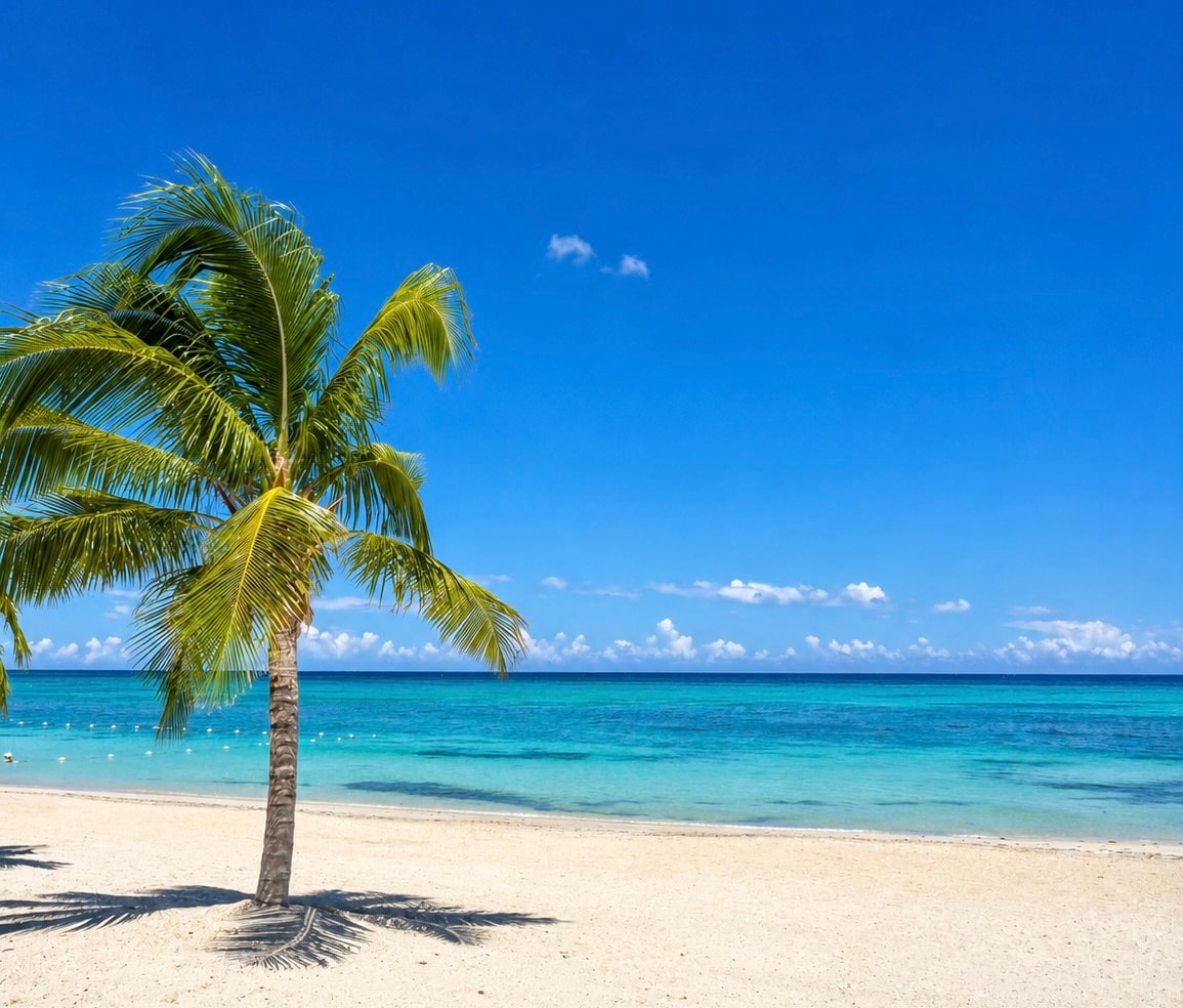 Turquoise tropical beach paradise